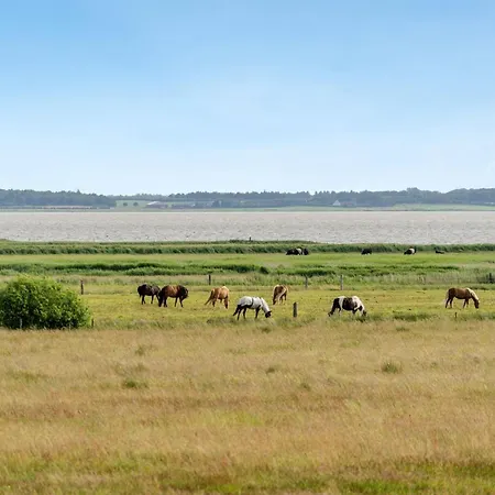 Eltje - 4km From The Sea By Interhome Nyaraló
