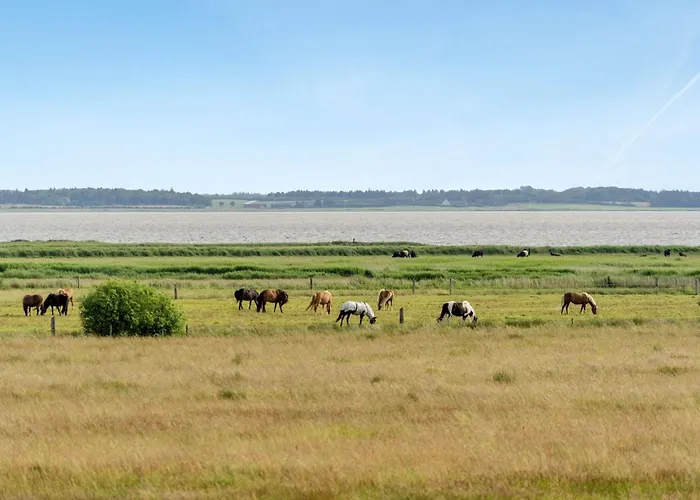 Eltje - 4km From The Sea By Interhome Feriehus